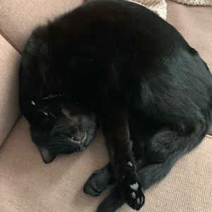 Meet your Posher, Amber